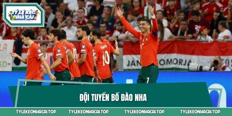 Đội Tuyển Bồ Đào Nha - Bản Hùng Ca Rực Lửa Trên Sân Cỏ