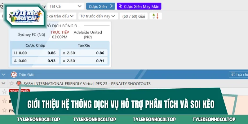 Hệ thống các dịch vụ chất lượng của website kèo nhà cái