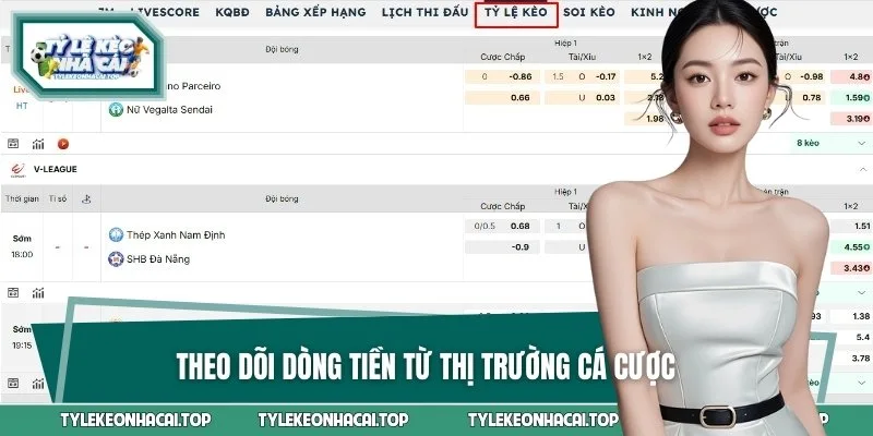 Soi kèo tại các giải đấu lớn đảm bảo tính minh bạch cao