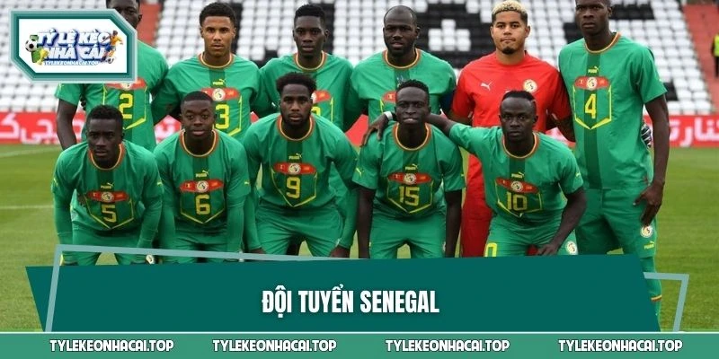 Đội Tuyển Senegal - Sức Mạnh Của Những Chú Sư Tử Teranga